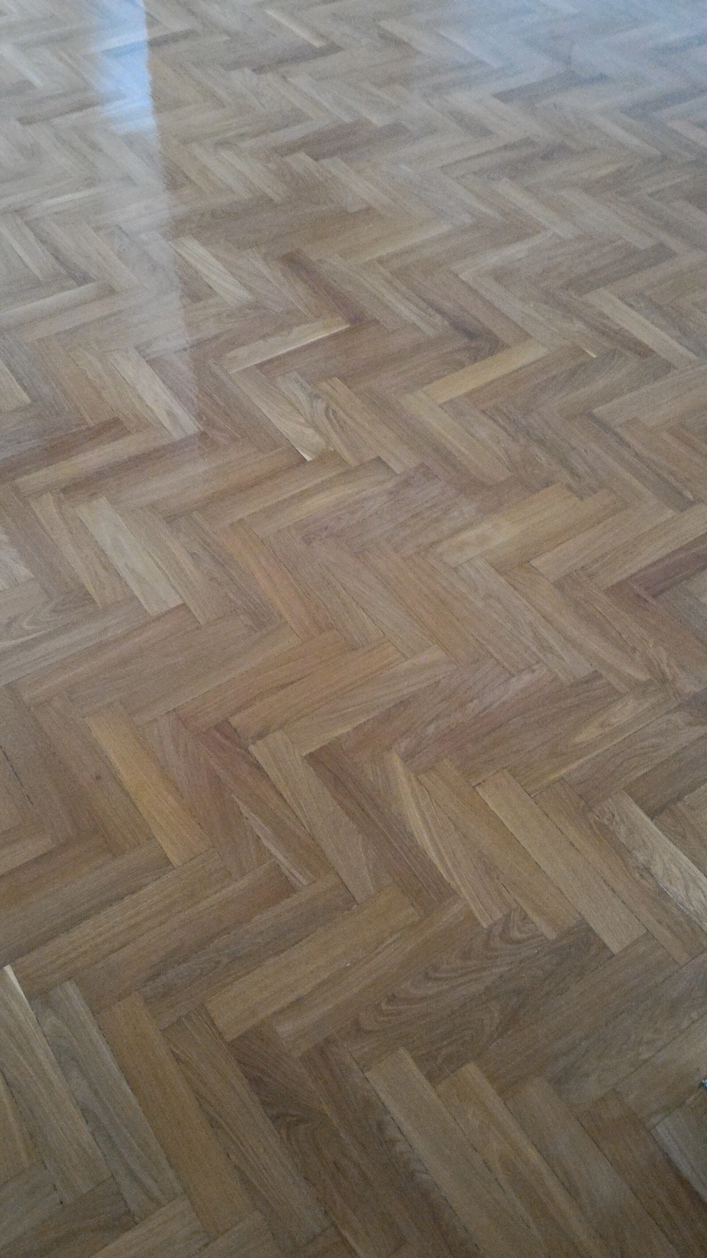 P_20170822_110435.jpg