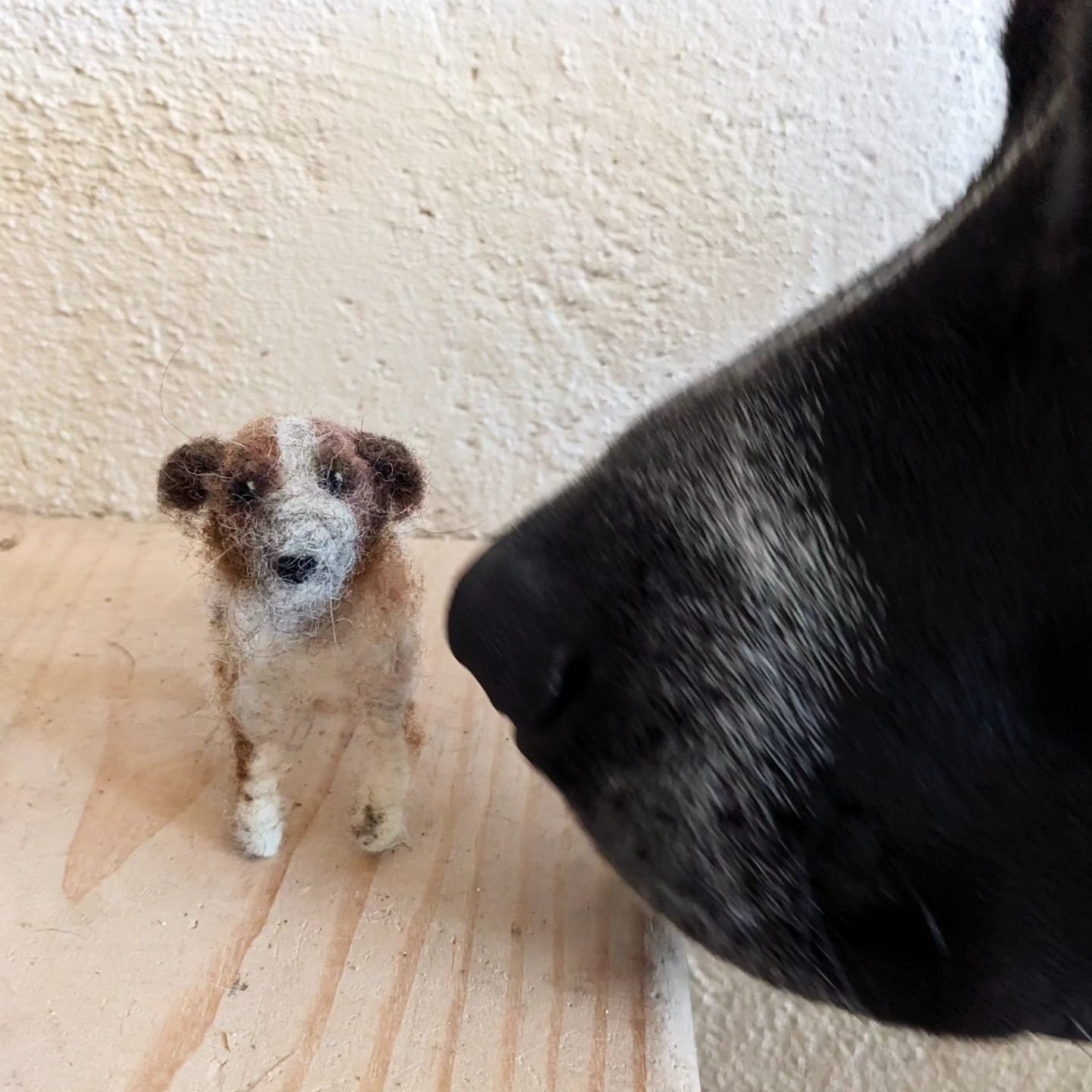 🐑❤️🐕
.
.
.
#needlefeltingartist #felteddog #wool #fiberart #fiberdiy #fibersculpture #armature #woolanimals