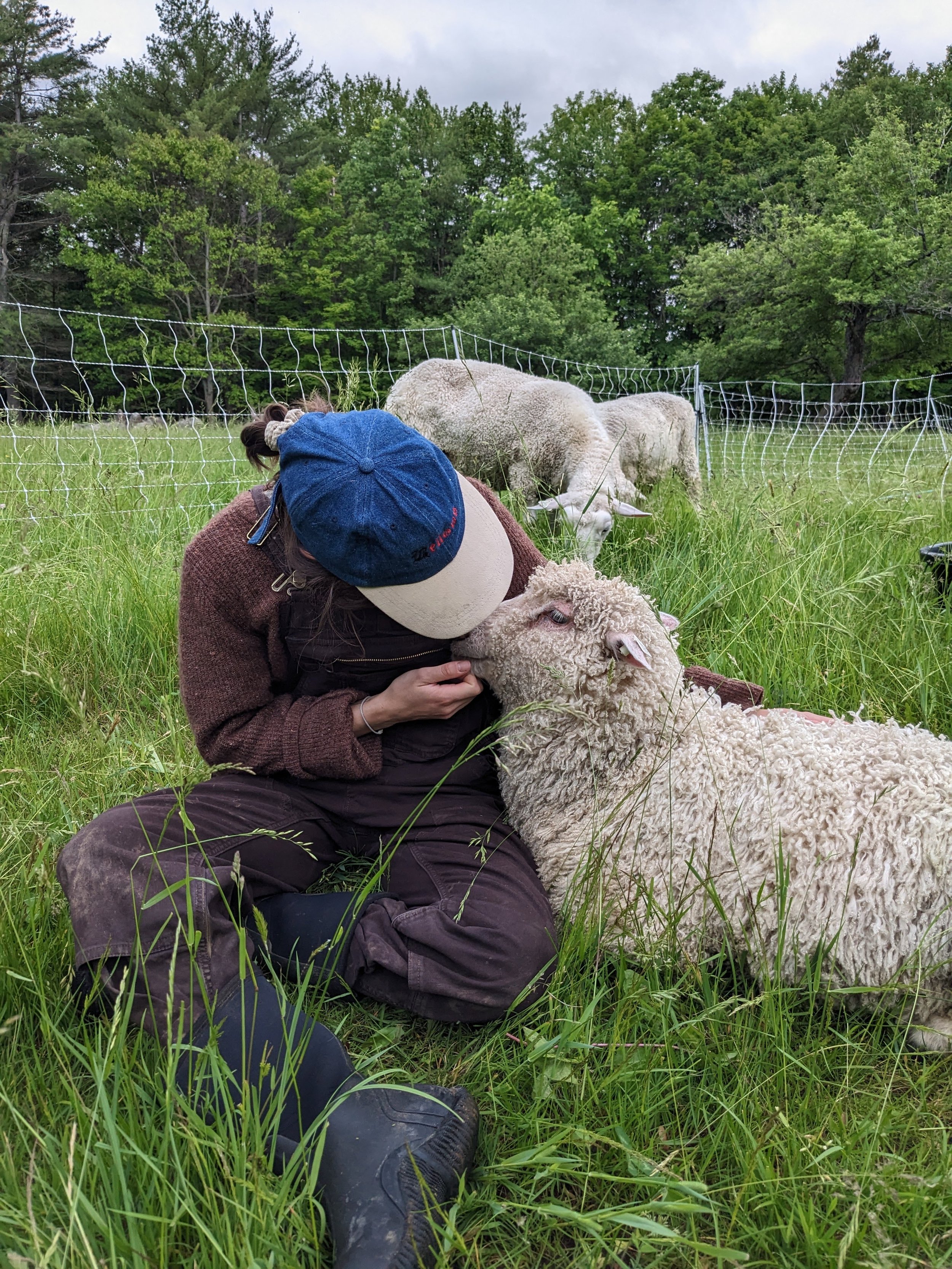 PXL_20230618_210500733 (1).jpg