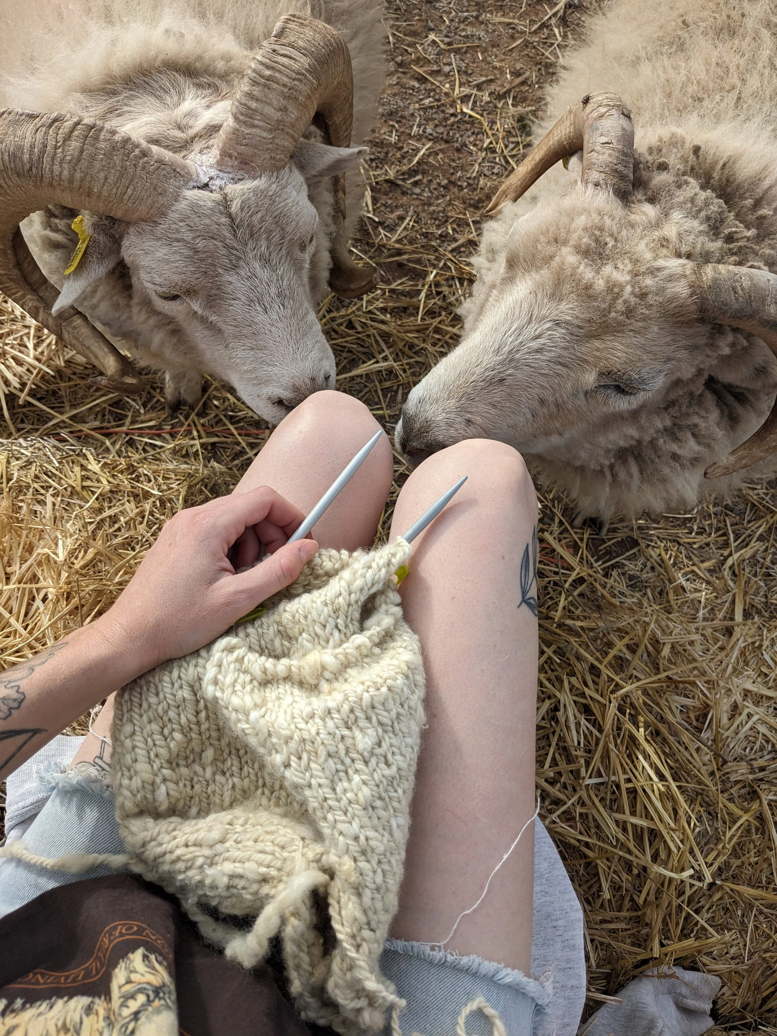 PXL_20231021_151342152 (1).jpg