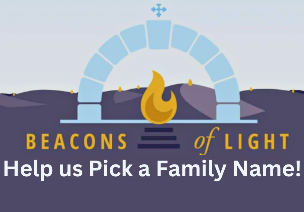 Time to Vote for the SE-6 Family Name!