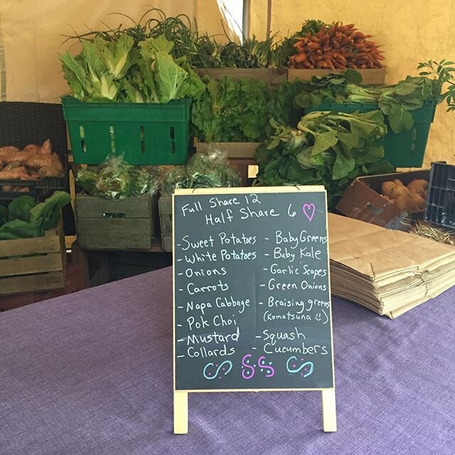 Farm stand is ready, come and get it! Squash and cukes won&rsquo;t last long. But soon they will be overflowing!