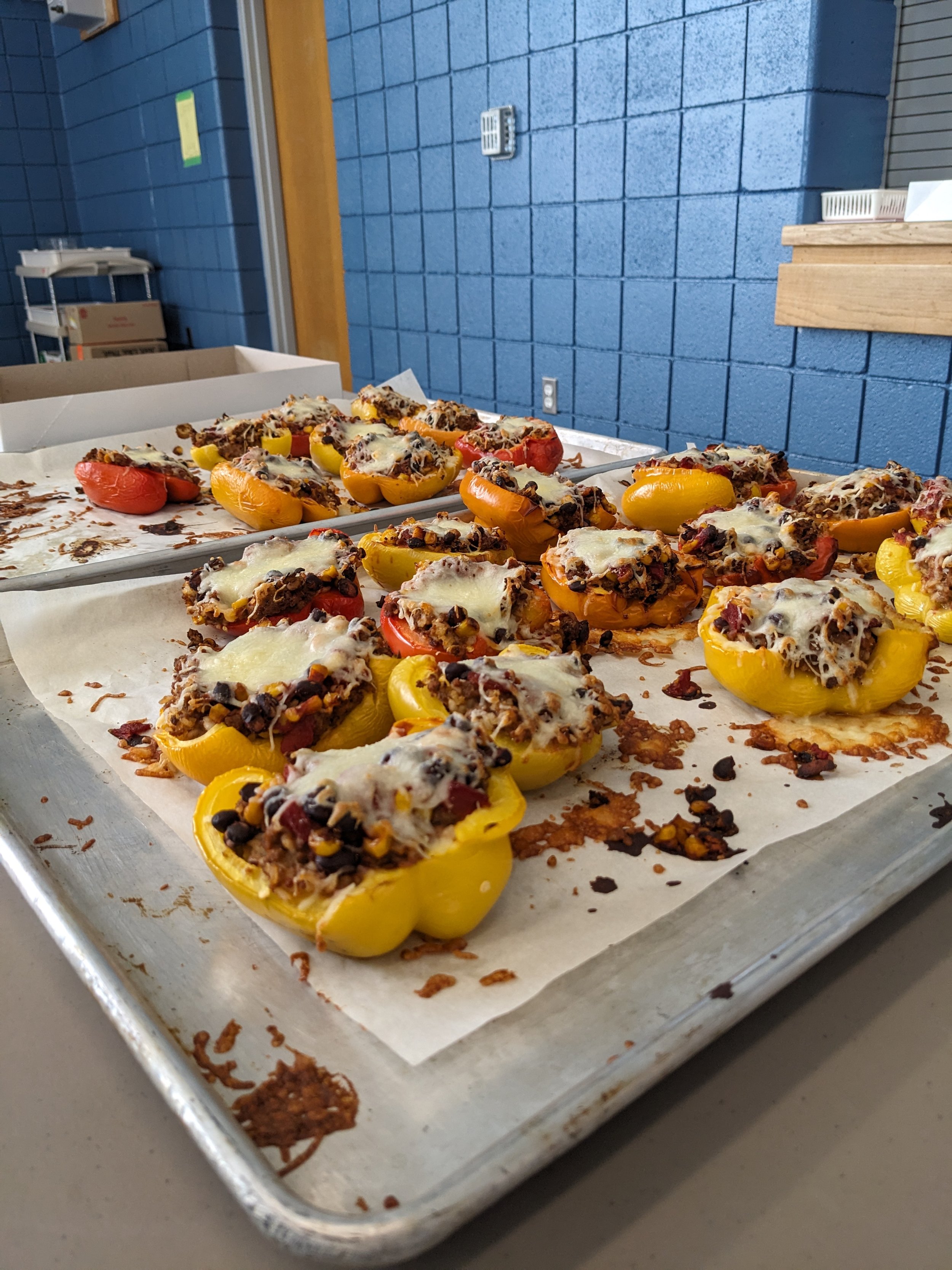 PXL_20250417_155803016 (1).jpg