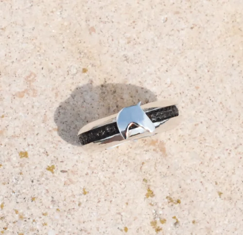 horsehair ring horse