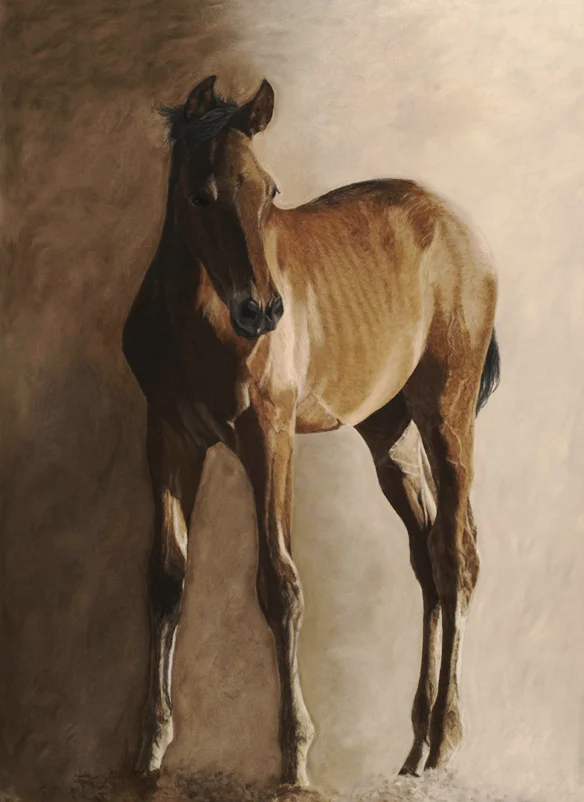 spanish foal painting commission
