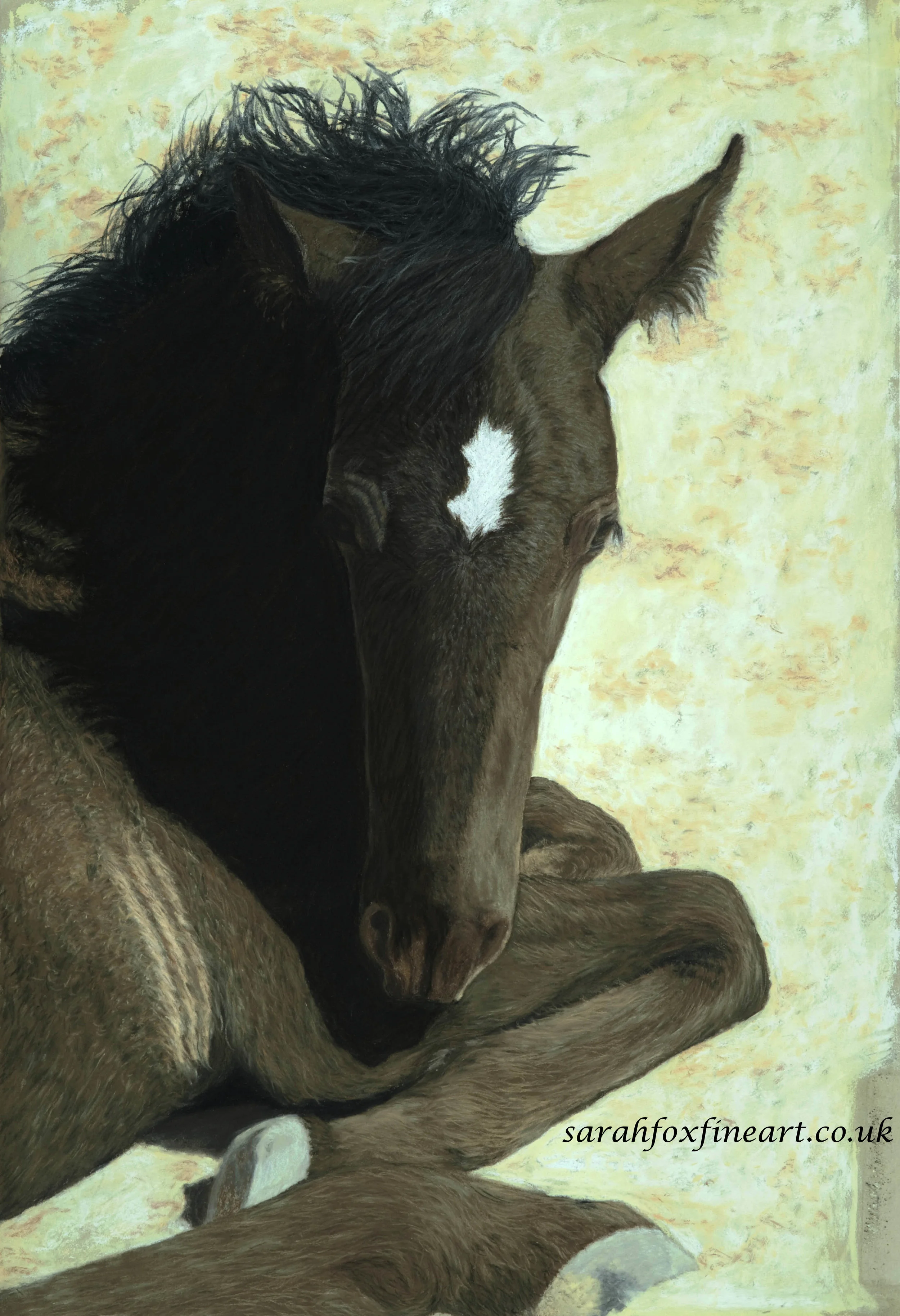 Spanish Foal Painting-SOLD