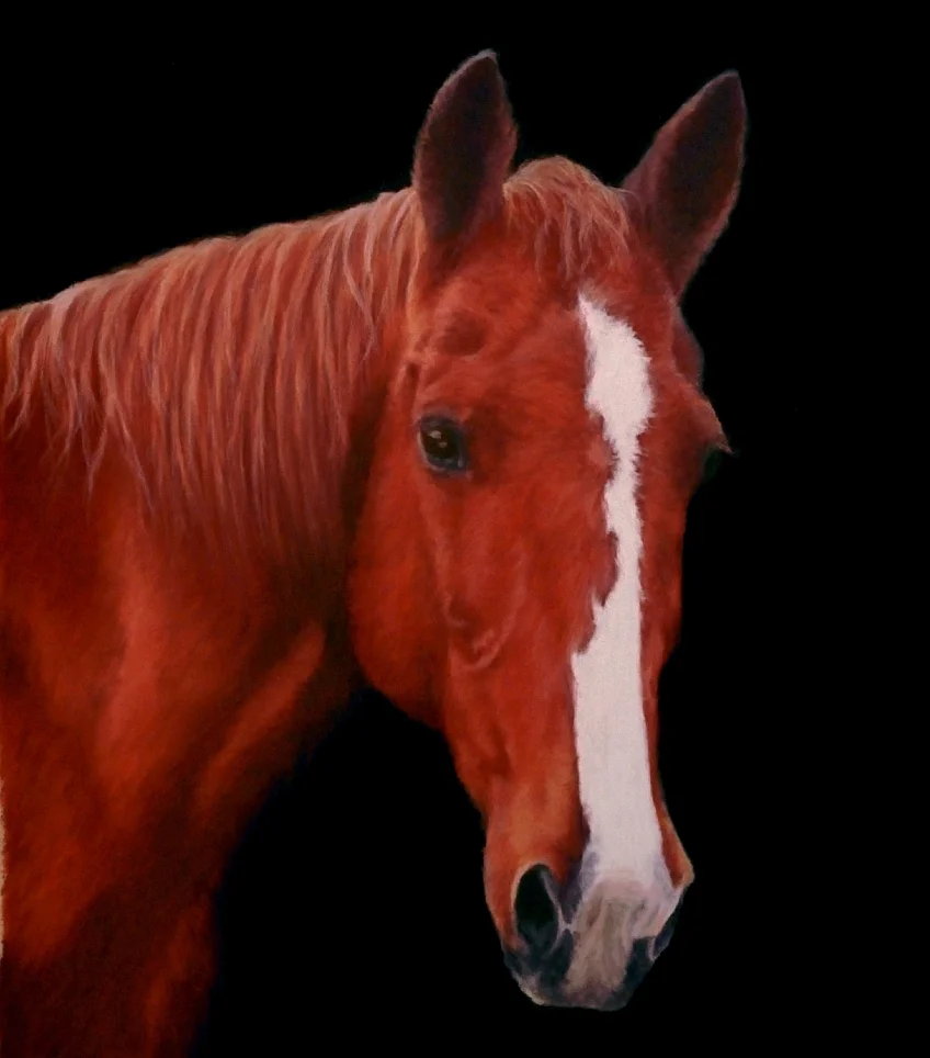 Chestnut Horse Commission-SOLD