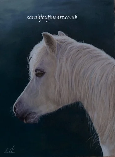 welsh pony painting commission