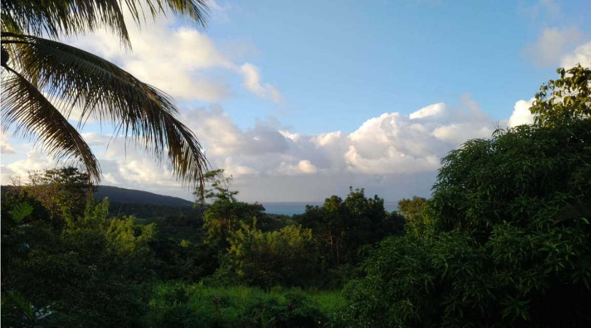 Karukerament the podcast celebrates its first year anniversary