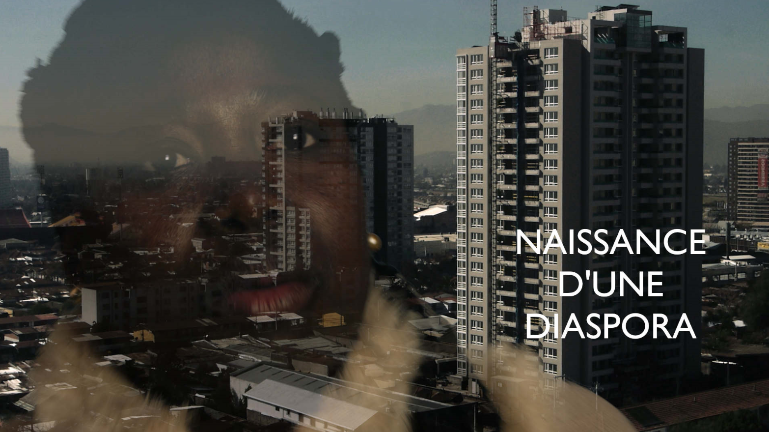 “Naissance d'une diaspora”, perspective on Haitian diaspora