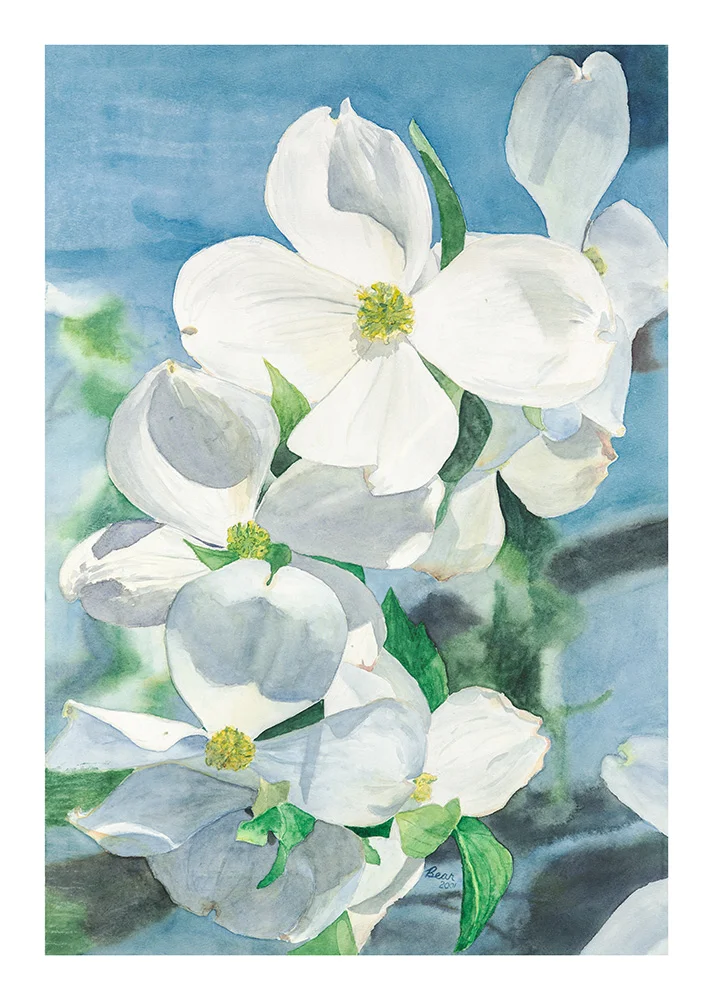 C74223F4-8772-4A6E-B07A-87450427758A