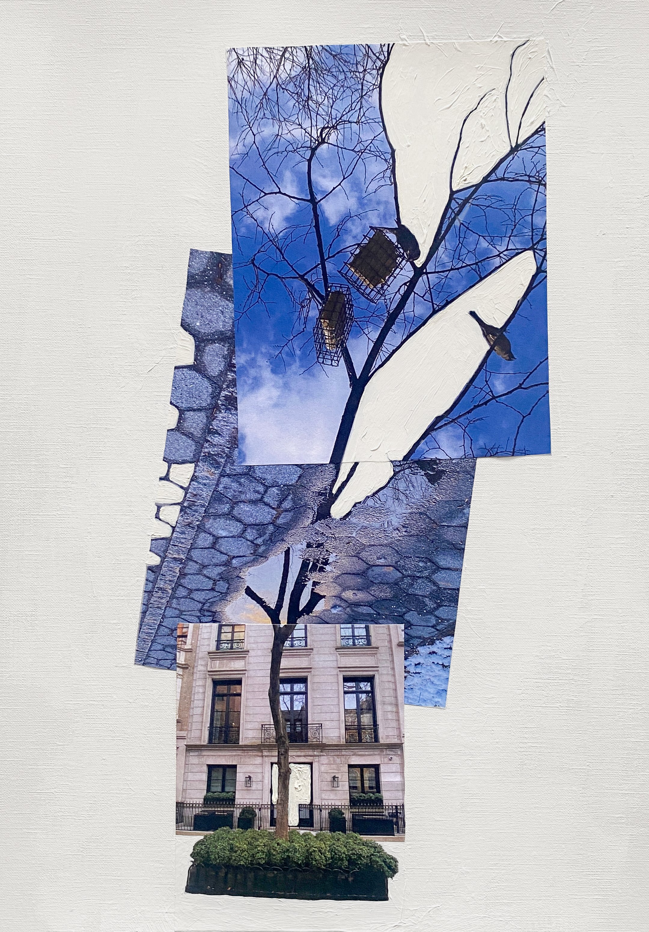 LeighKlonskyStreetTree2.jpg