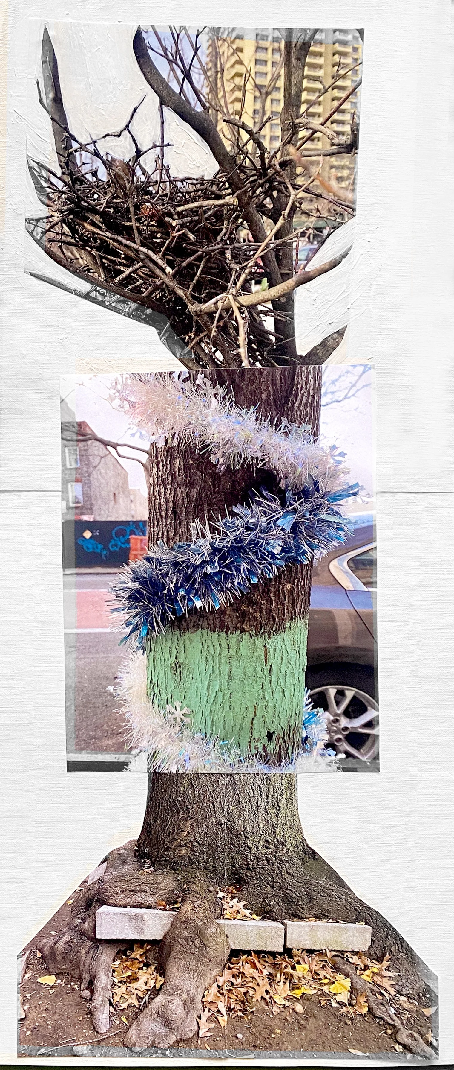 LeighKlonskyStreetTree1.jpg