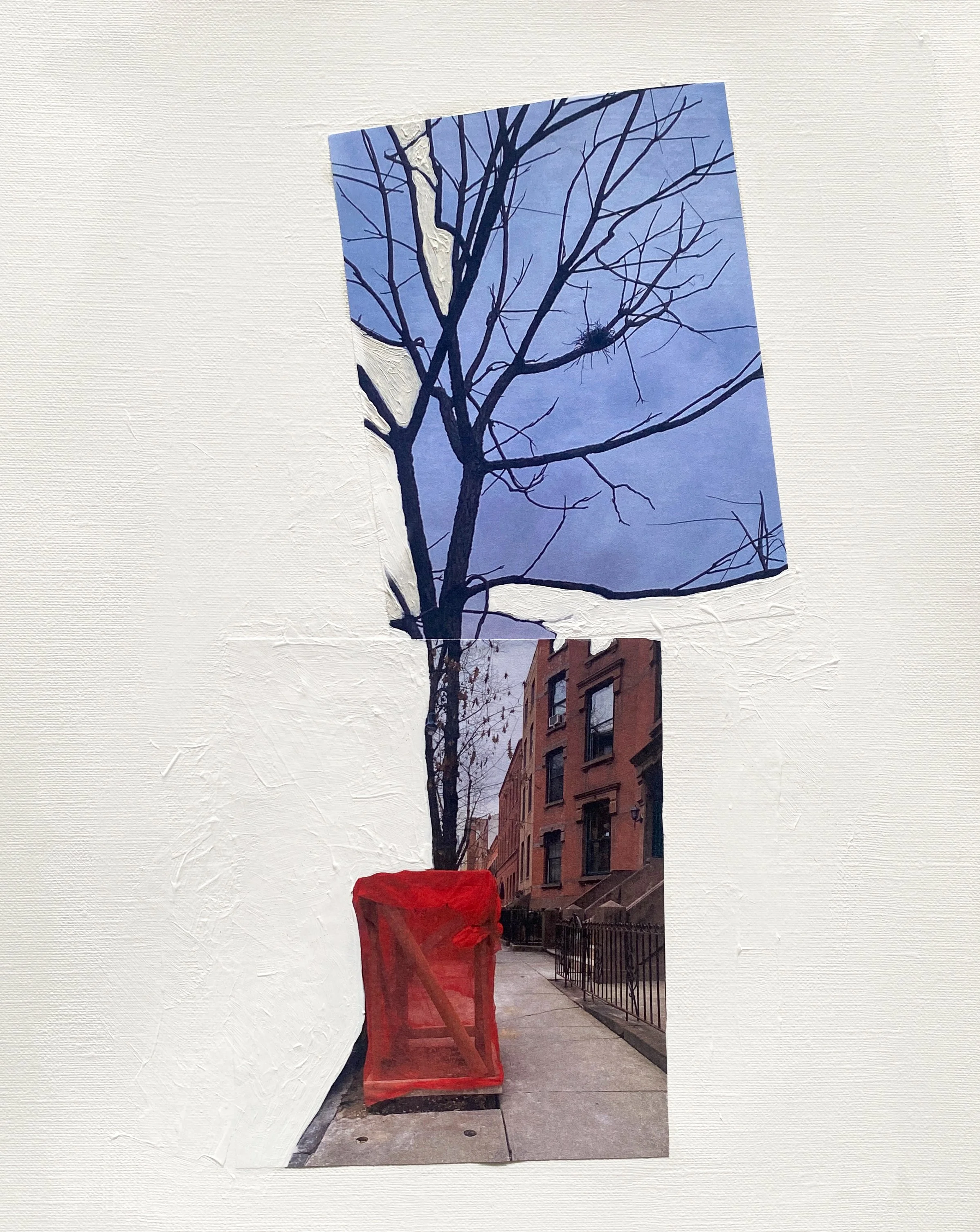 LeighKlonskyStreetTree5.jpg