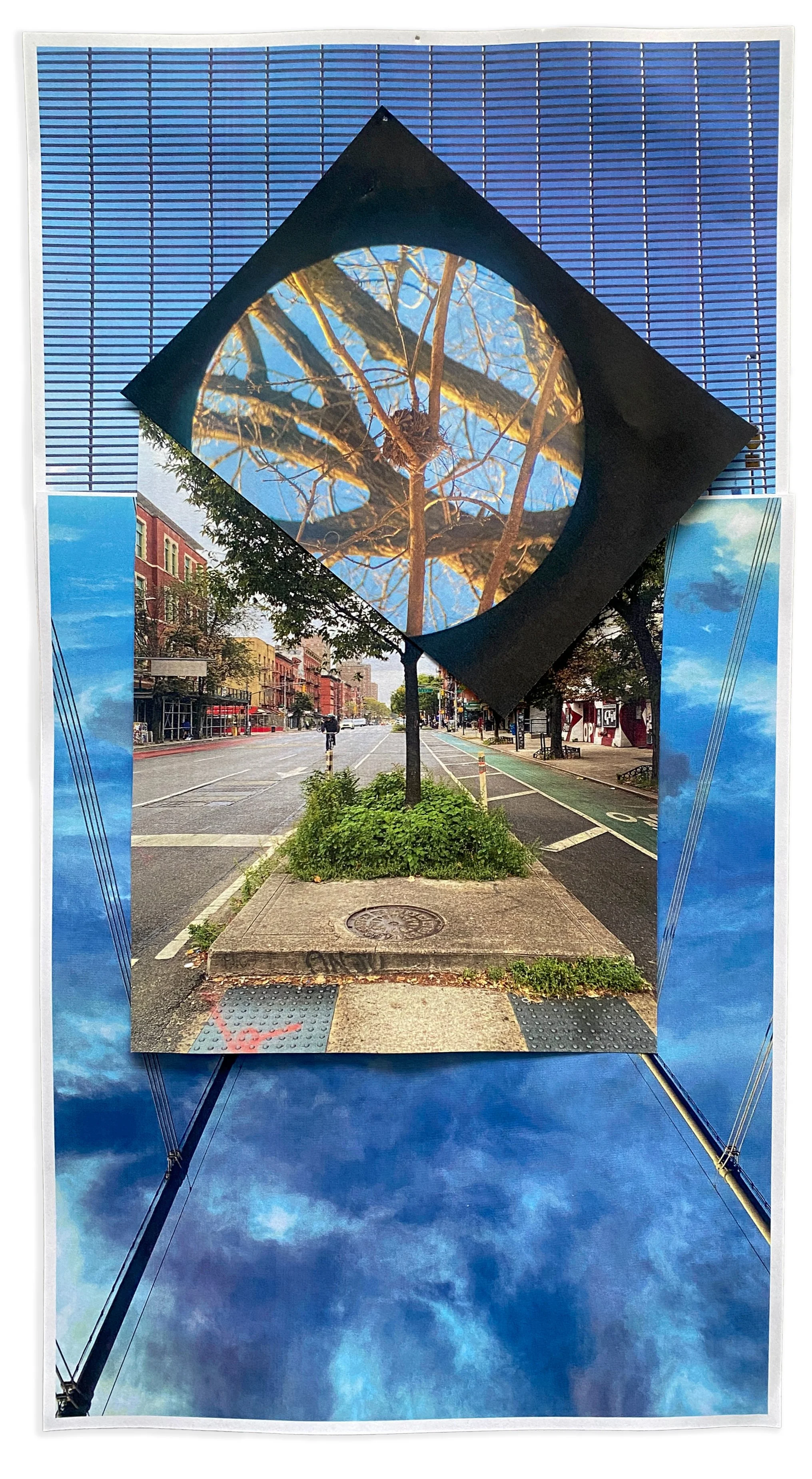 LeighKlonskyStreetTree4.jpg