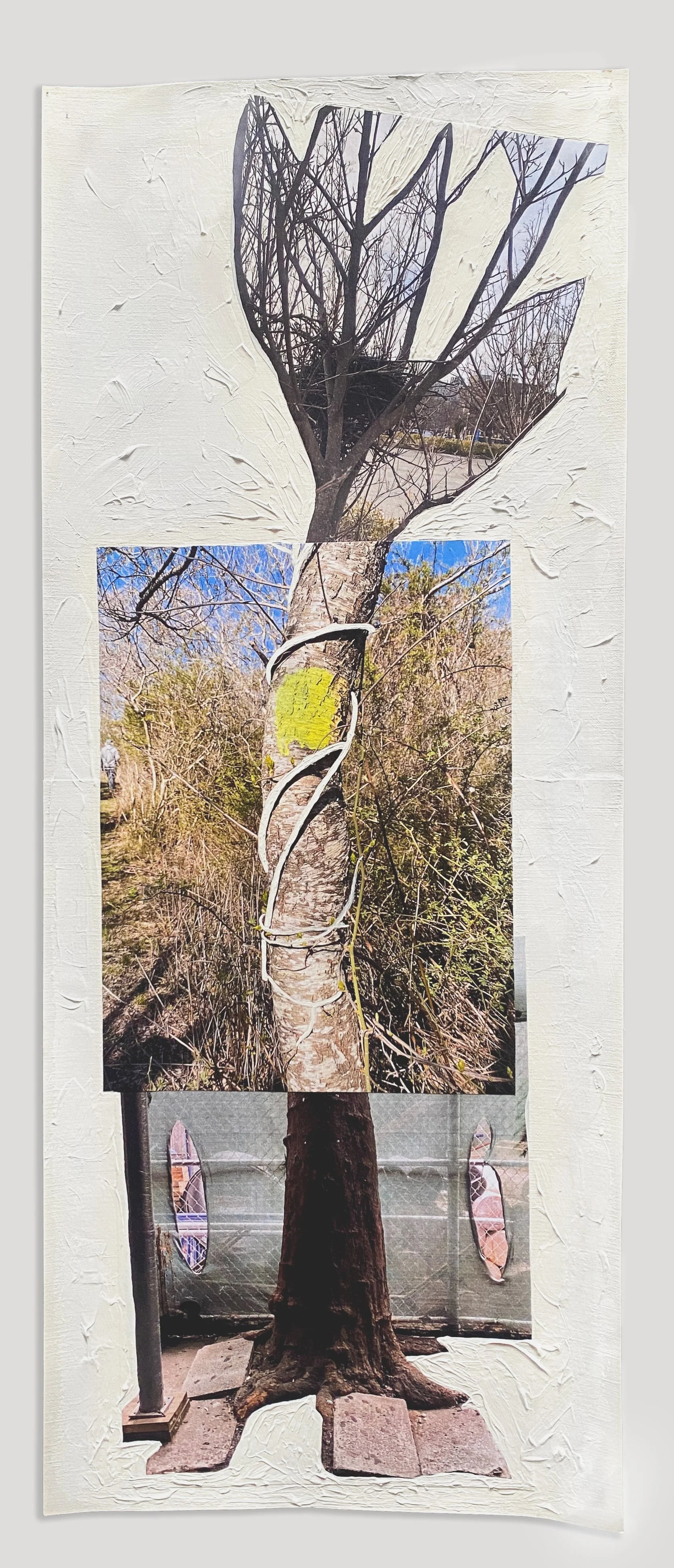 LeighKlonskyStreetTree9.jpg