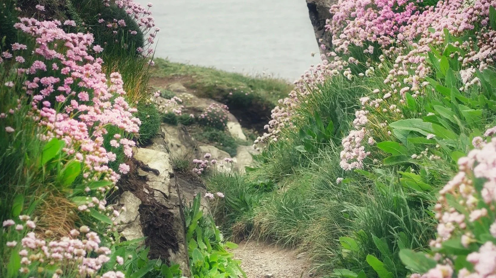 After years of clinical work, something was still missing. Therapist Liza Blank on finding coherence, confidence, and community through post-graduate Gestalt training at GAP.