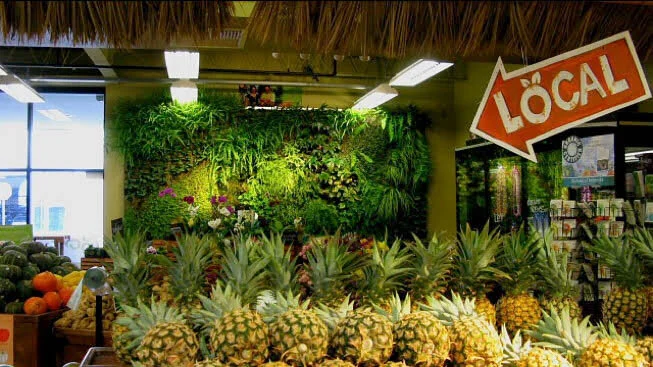 Whole Foods Hawaii.jpg