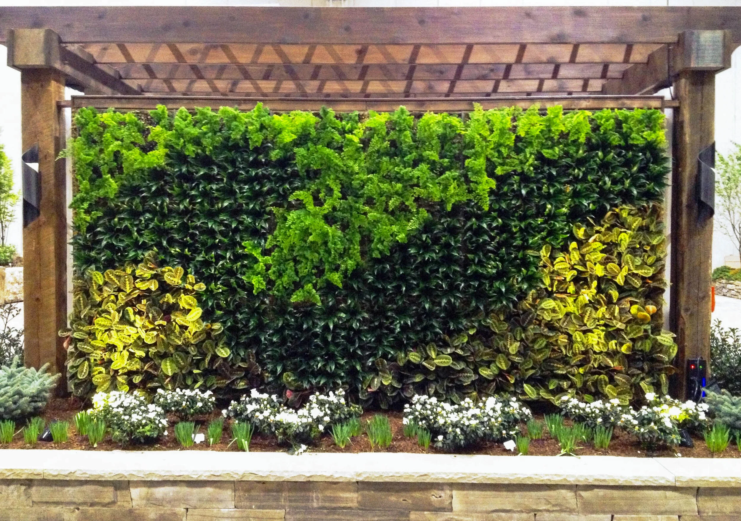 Blooms 2013 (5).jpg