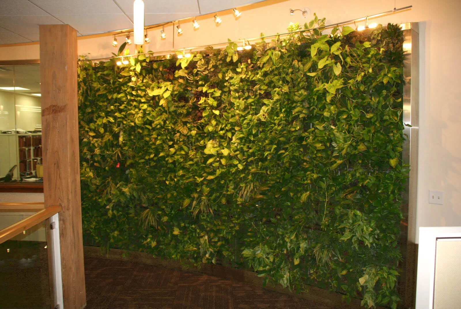 Office Living Wall 2.jpg