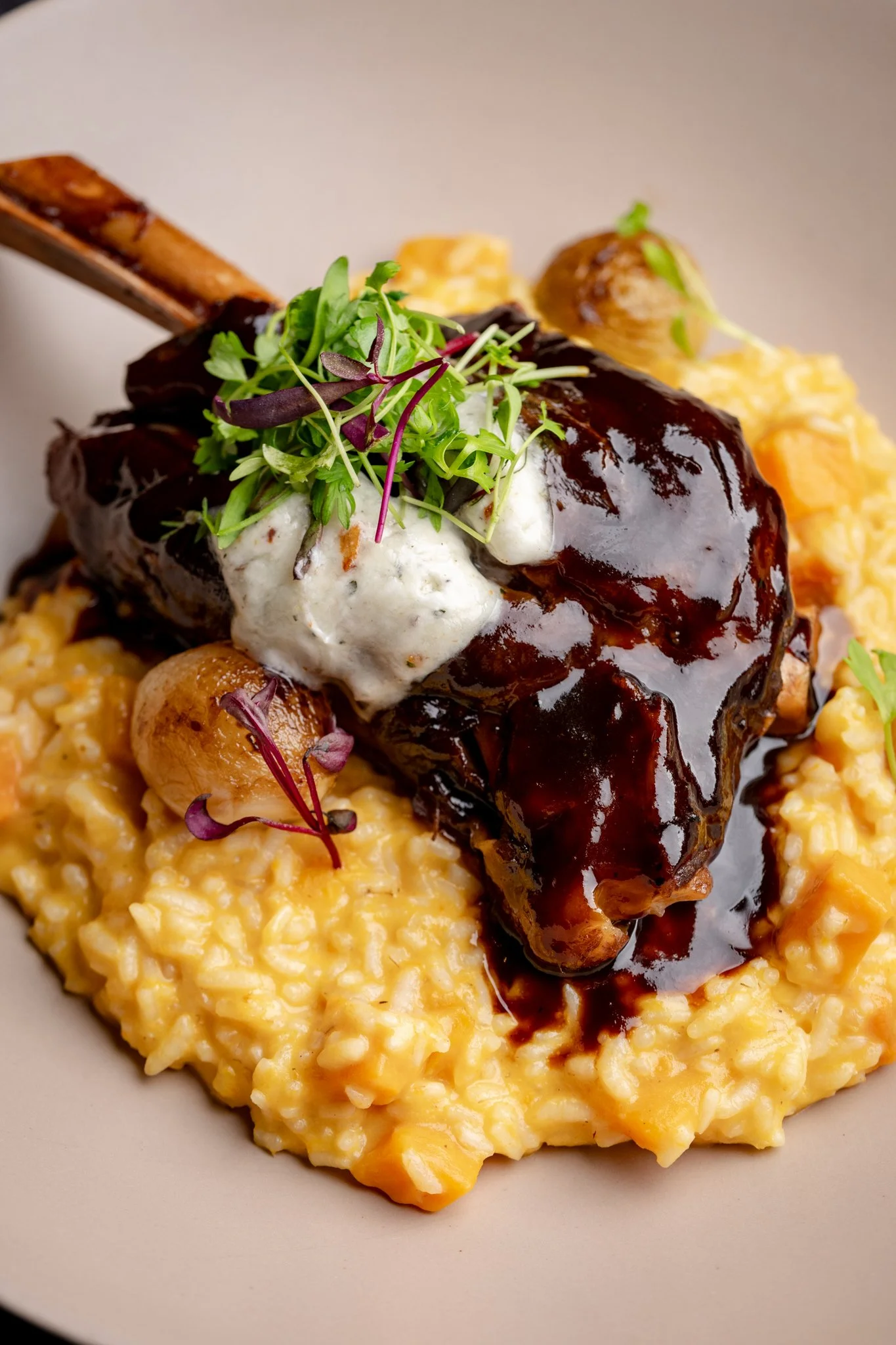 Cowbow Star - For Video -  2025-236.jpg