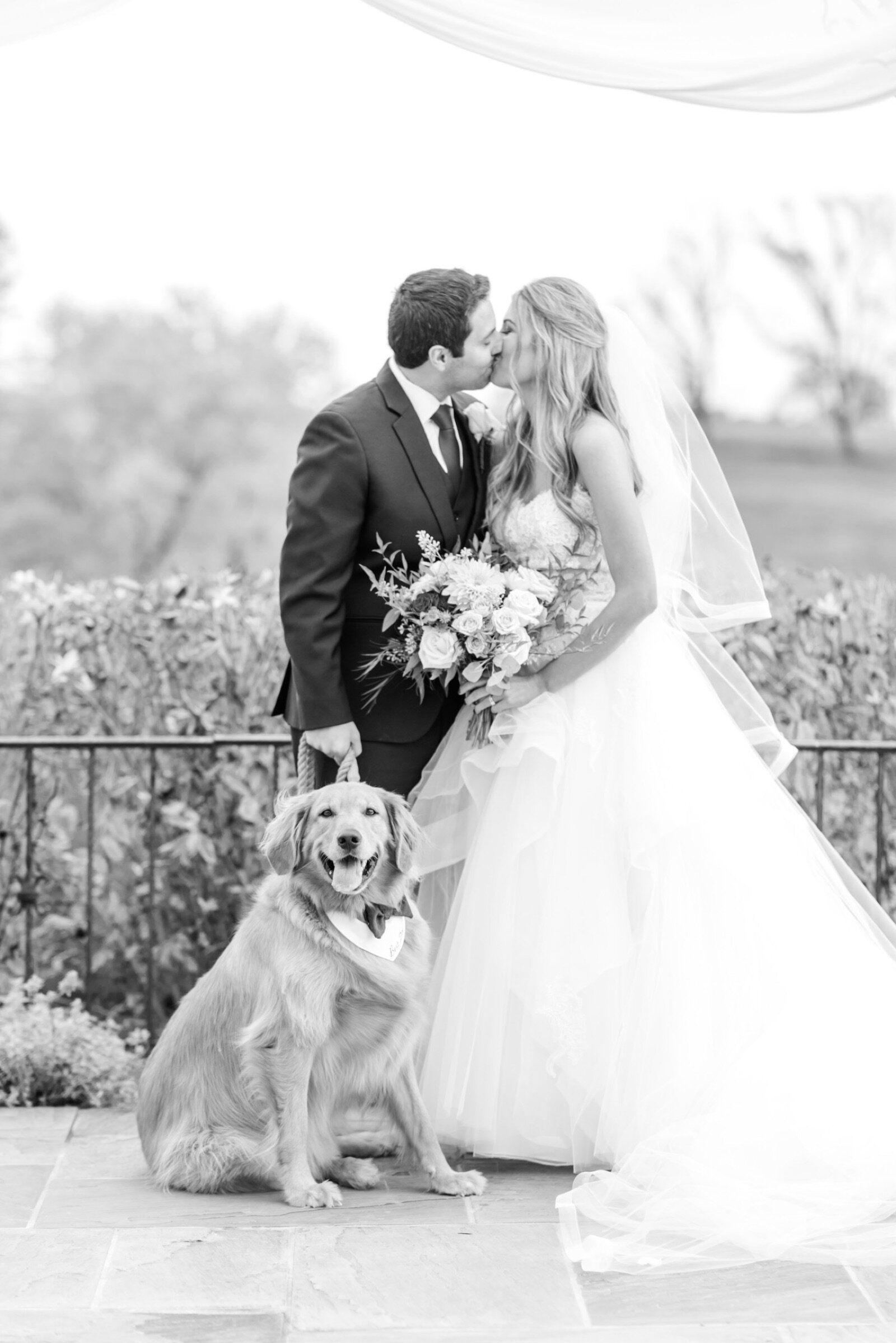 Fall Shadow Creek Wedding Lacey & Paul Megan Kelsey Photography-636.jpg