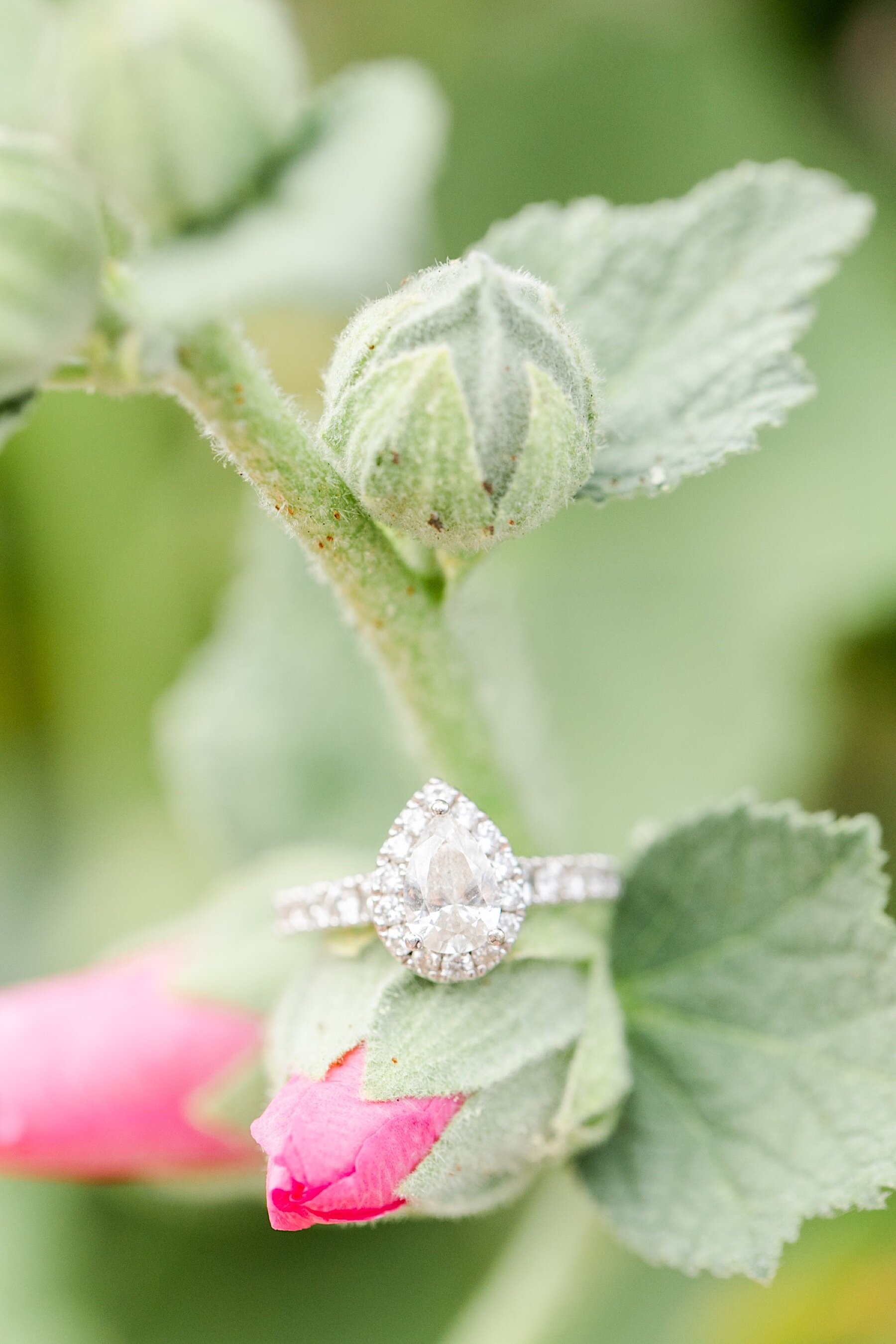 Summertime Old Town Alexandria Engagement Photos Megan Kelsey Photography Virginia Wedding Photographer-147.jpg