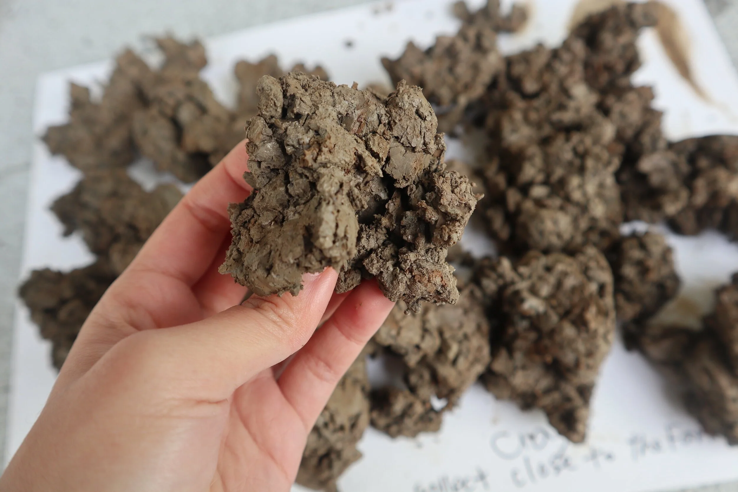 Clay soil from Sipoo, Finland