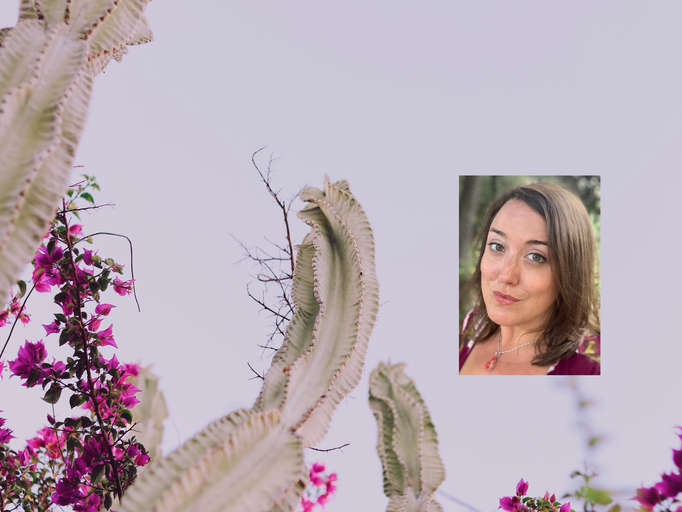 Copy of landing page background (4).png