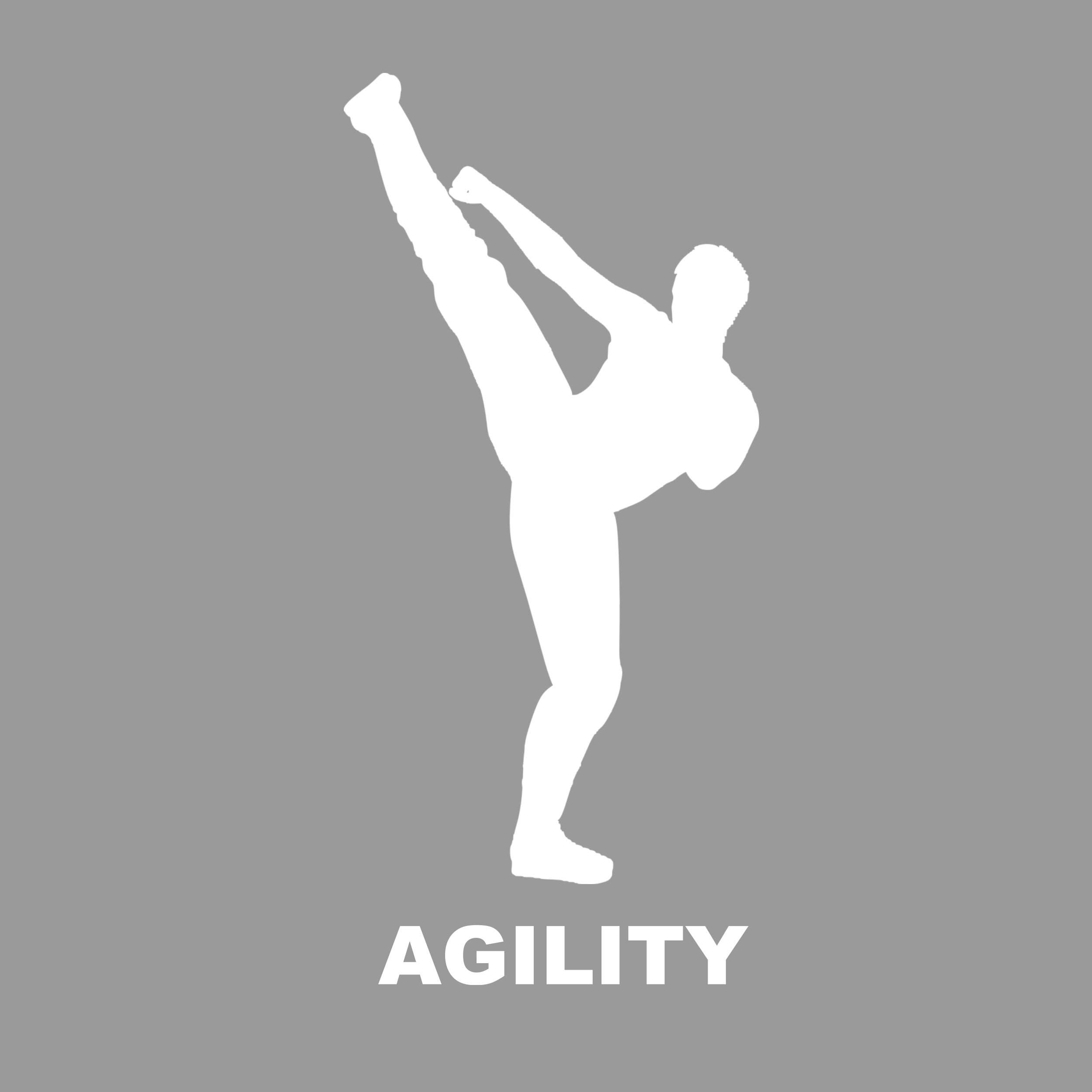 Agility.jpg