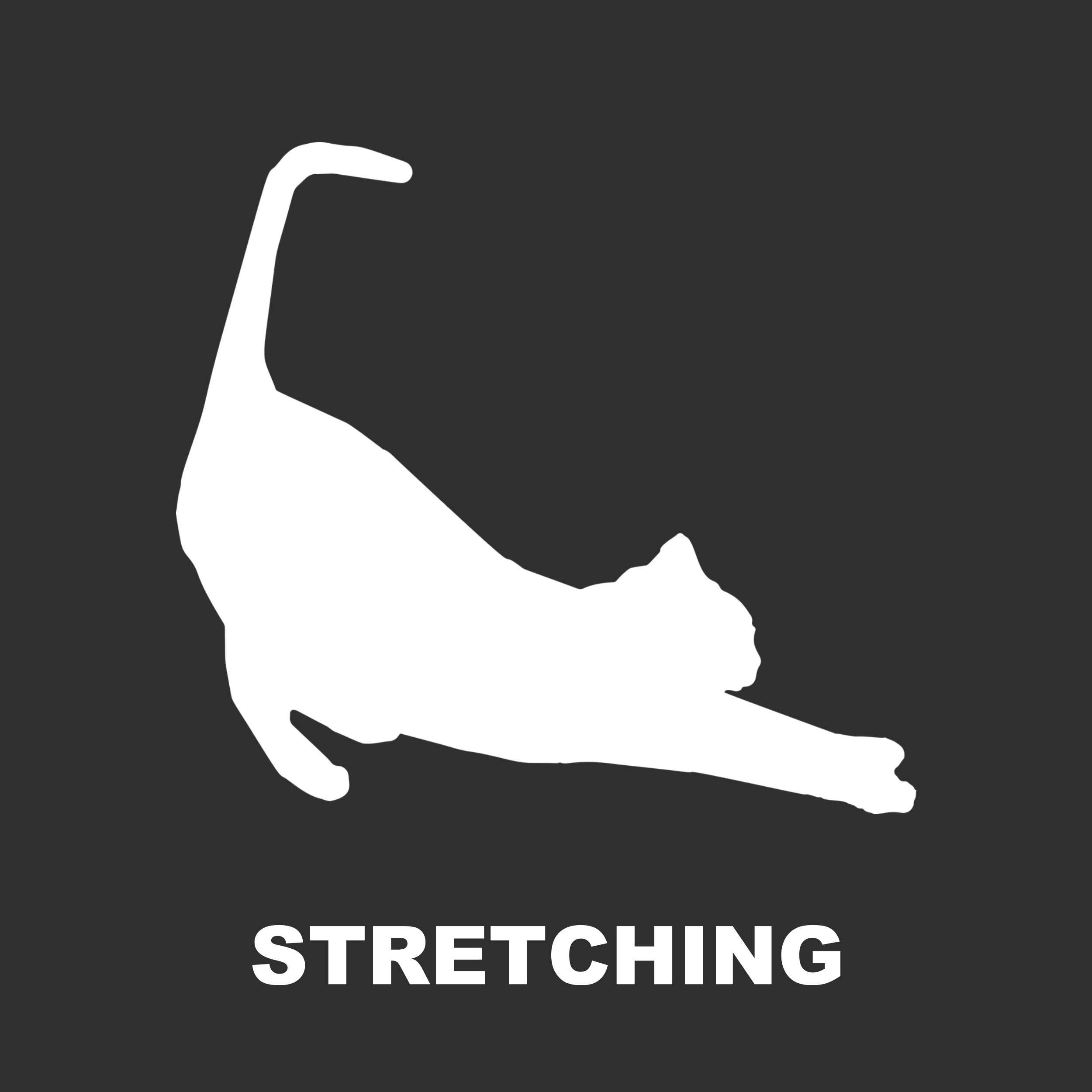 Stretching_gr.jpg