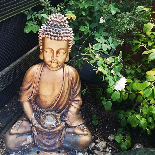 Nice and calm in the garden.
#buddha #peaceful #happy #calm #relax #feelgood #shihtzu