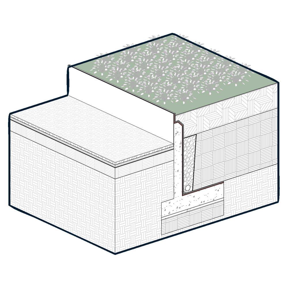 Pasto Rvt Curso Revit para paisaje | EA Paisaje
