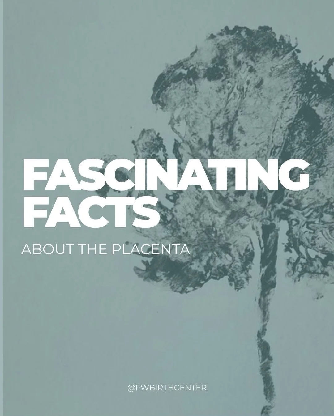Did you know your body creates an entire organ just for your baby? 

The #placenta develops during pregnancy and plays a vital role in supporting and nourishing your baby &mdash; delivering oxygen and nutrients while removing waste. Swipe to learn ab