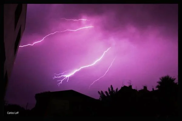 Free Passes 1 Ano - Poupa nas formações e apoia o IRIS