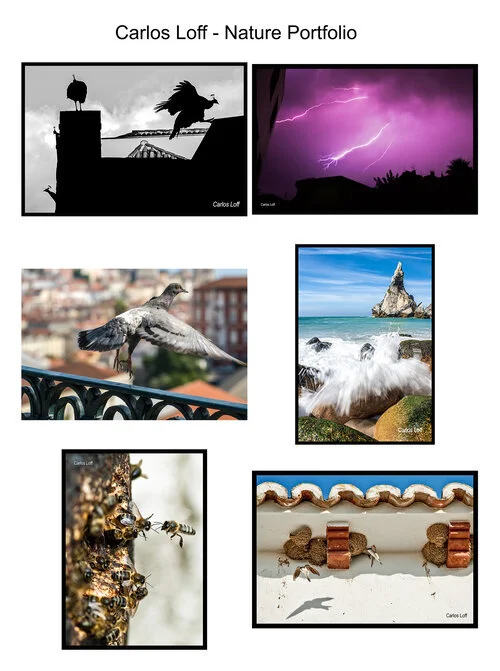 Carlos-Loff-Nature (1).jpg