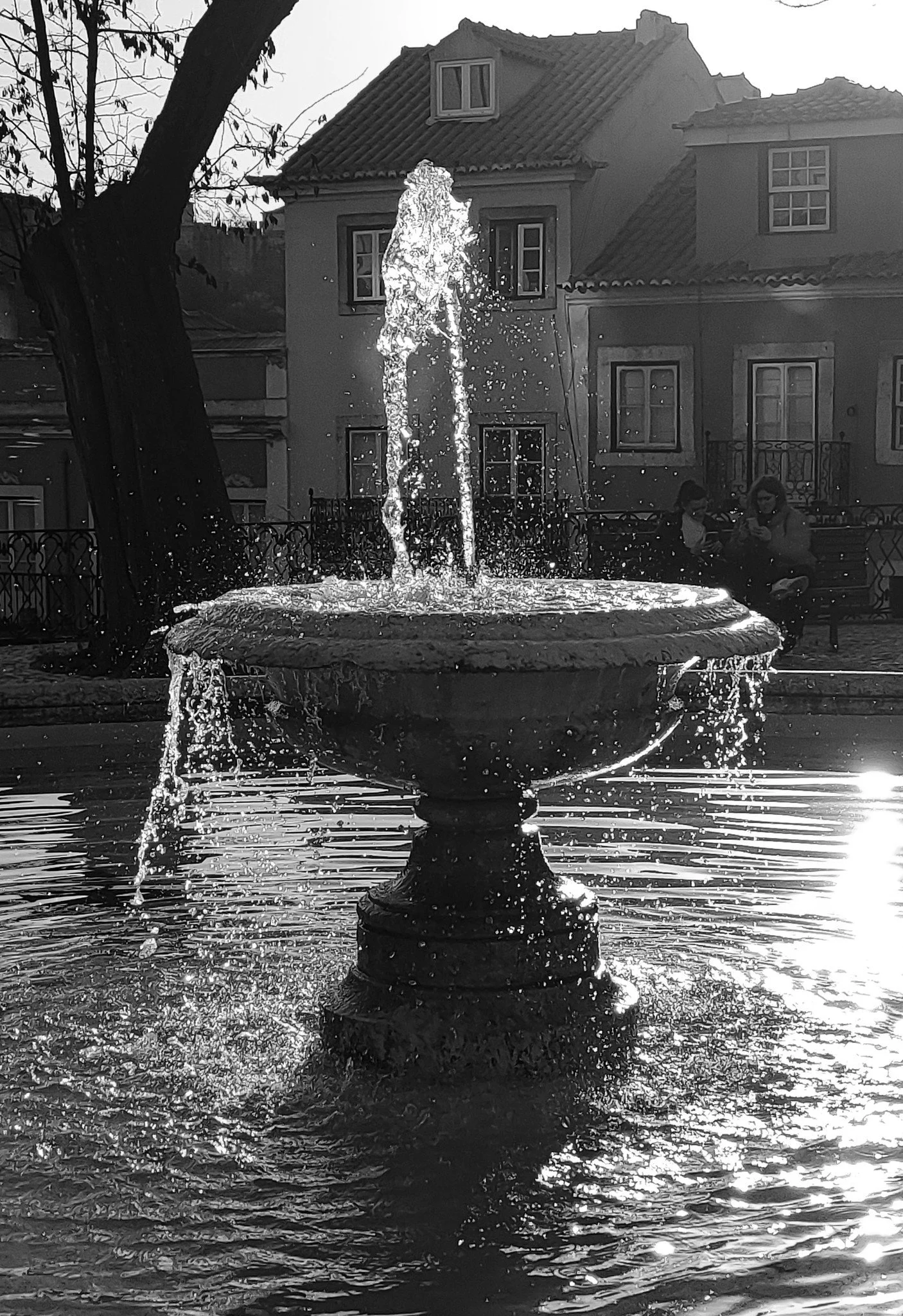 273931155_10219855567969105_4672735007001412318_n (1).jpg