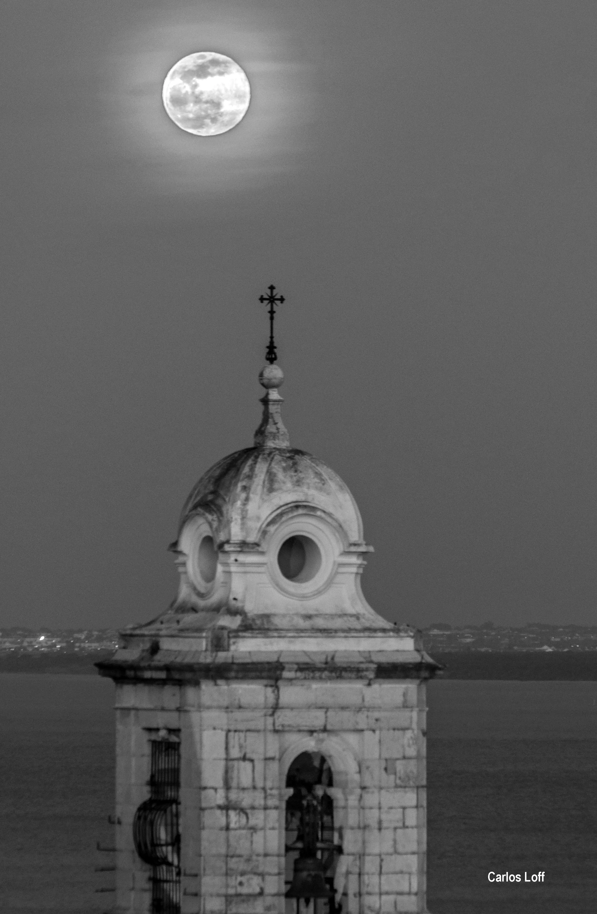 1 - Lua Blue d - B&W.jpg