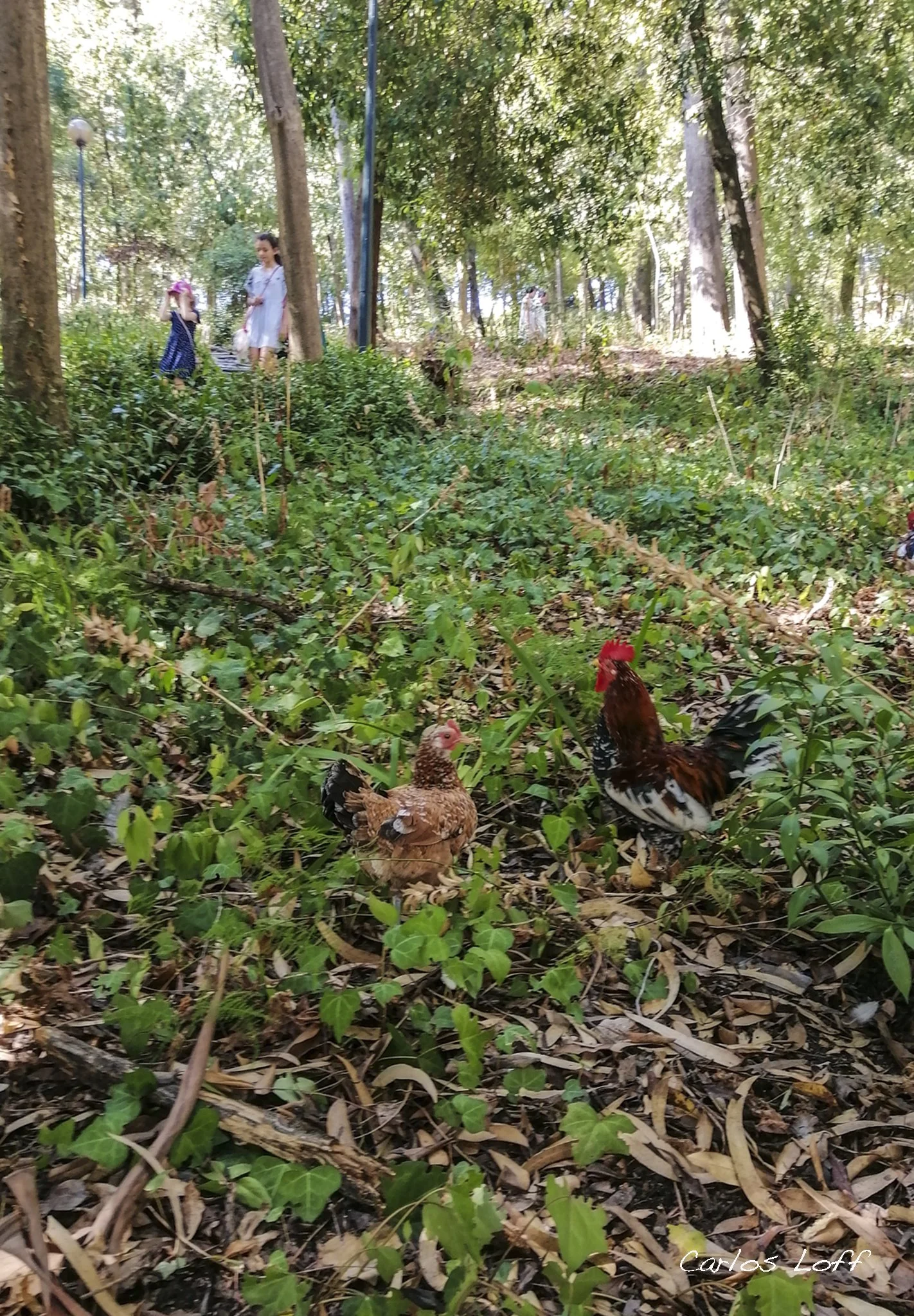 IMG_20200907_103843 copy.jpg