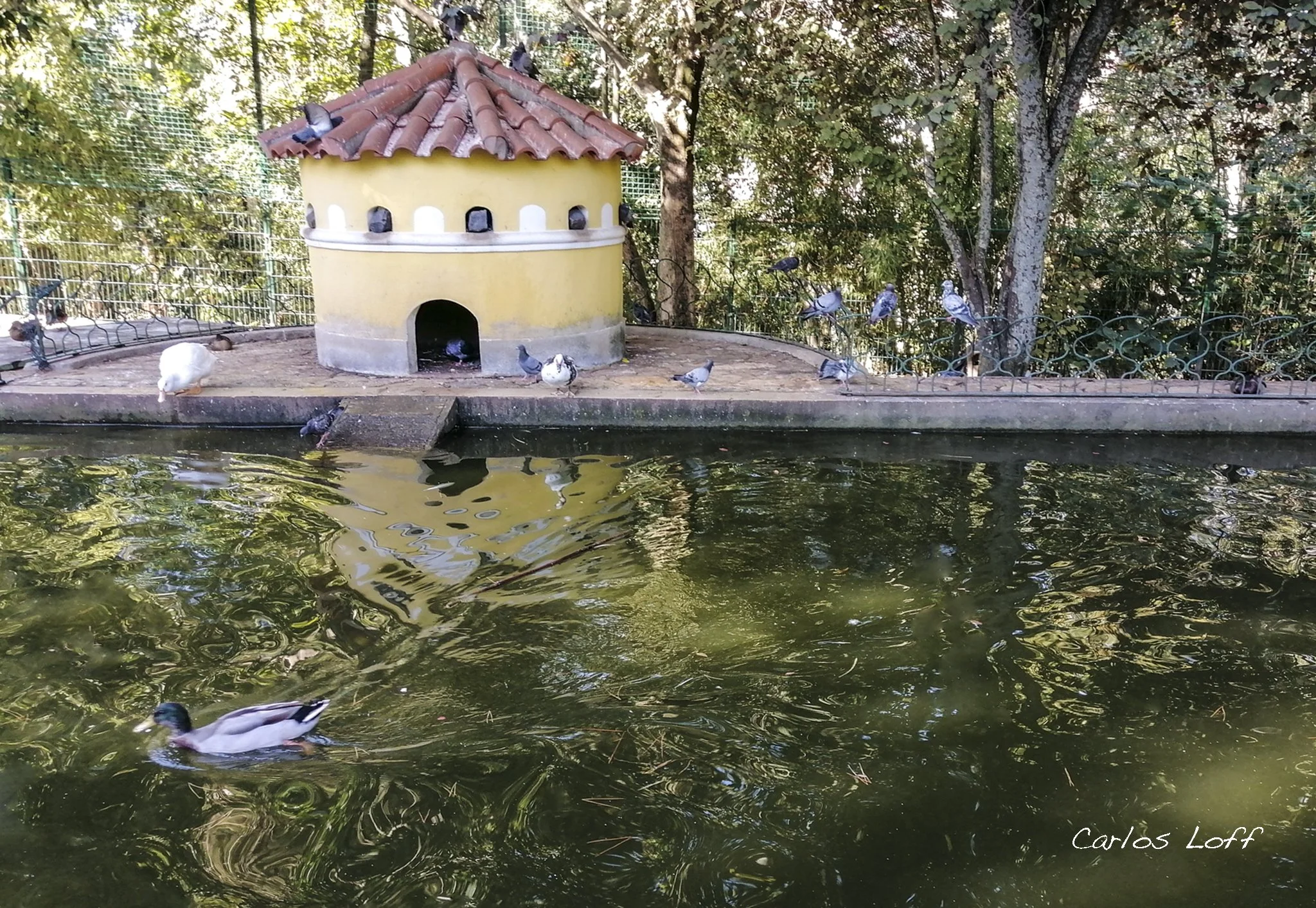 IMG_20200907_104503 copy.jpg