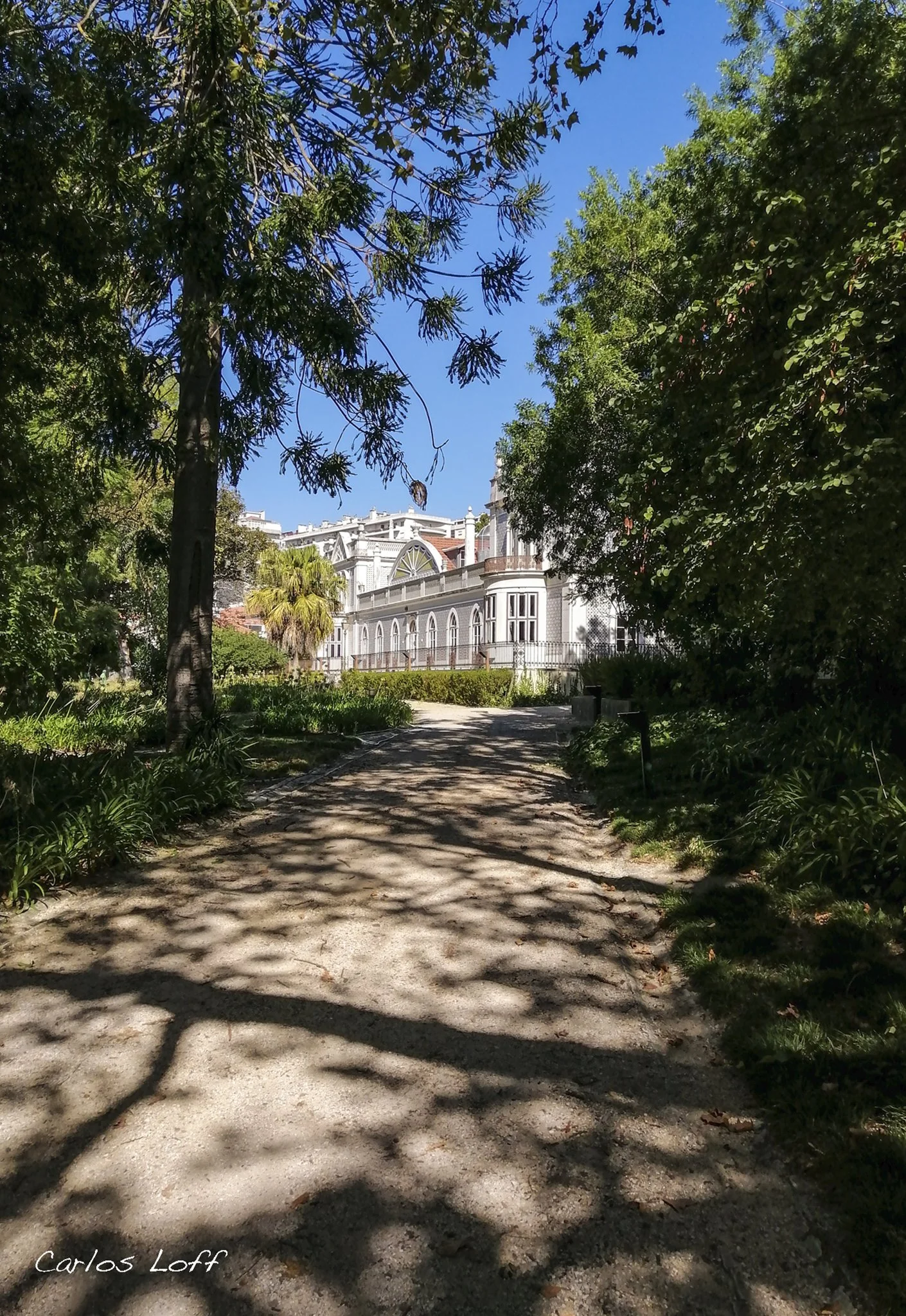 IMG_20200907_111521 copy.jpg