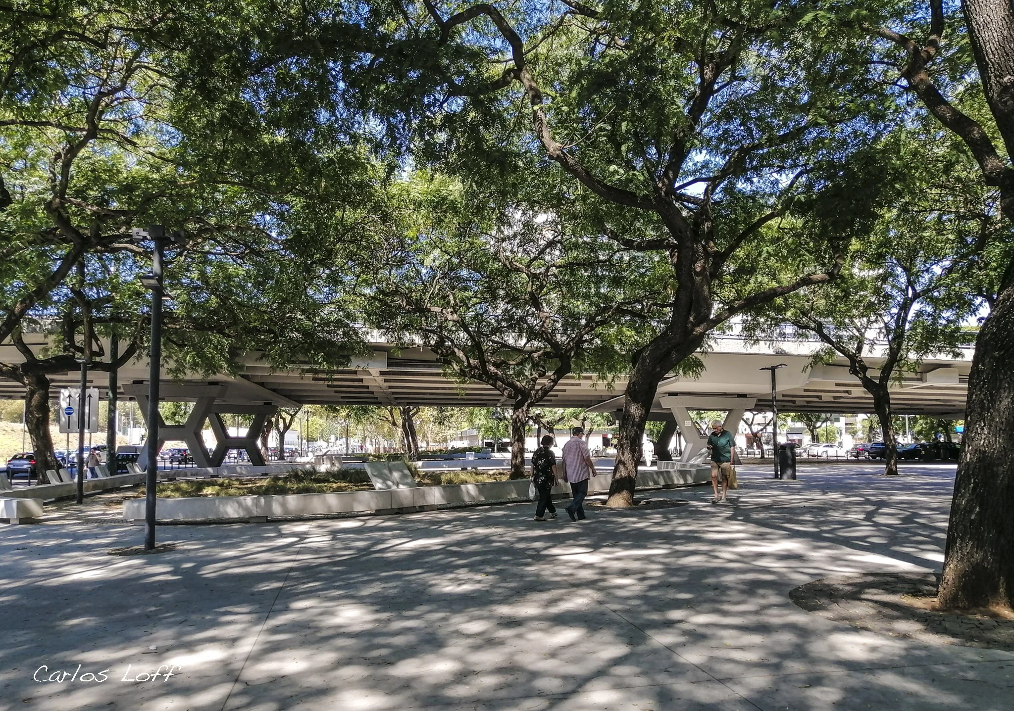 IMG_20200907_113940 copy.jpg