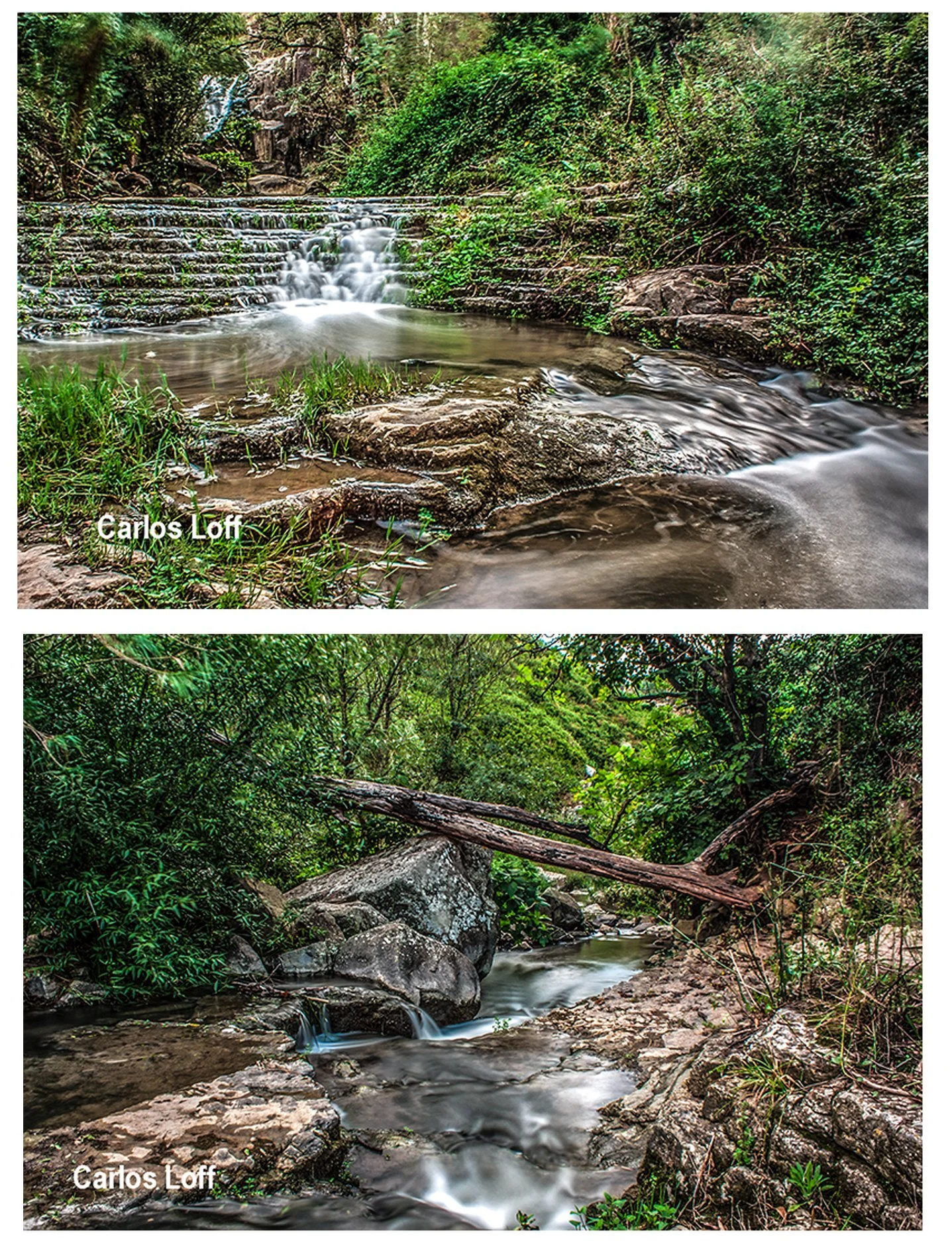 82522190_10215377111450491_6478567182258143232_n (1).jpg