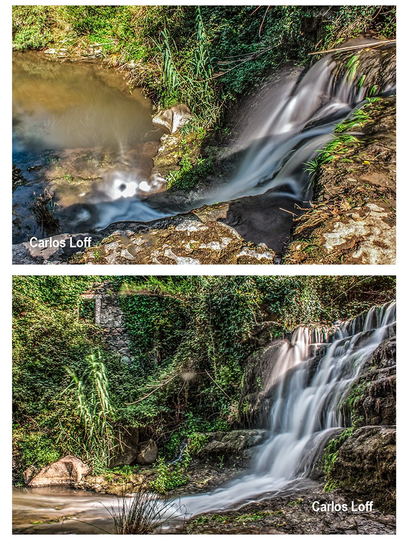 83035433_10215377110930478_7708574768483532800_n (1).jpg