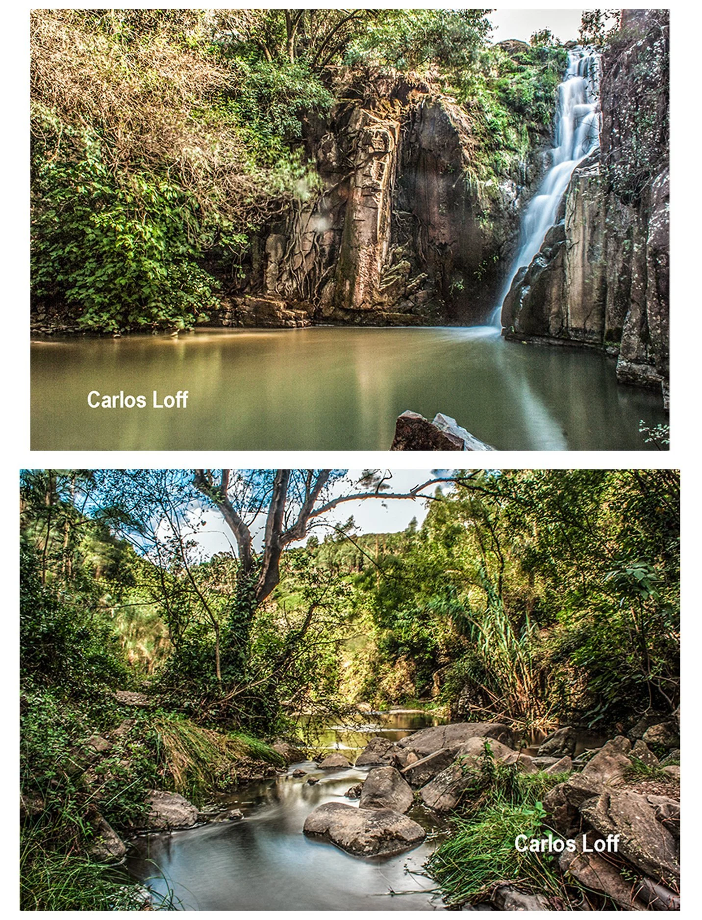 83355130_10215377111170484_1908570375558529024_n (1).jpg