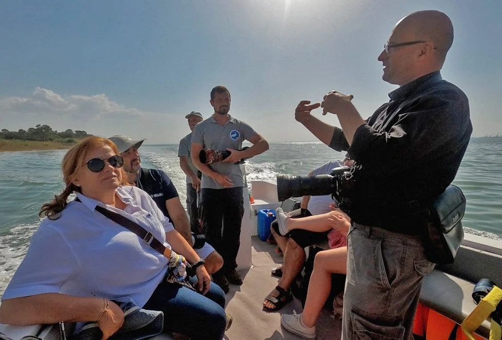 Mourisca por Paulo Ferreira.jpg