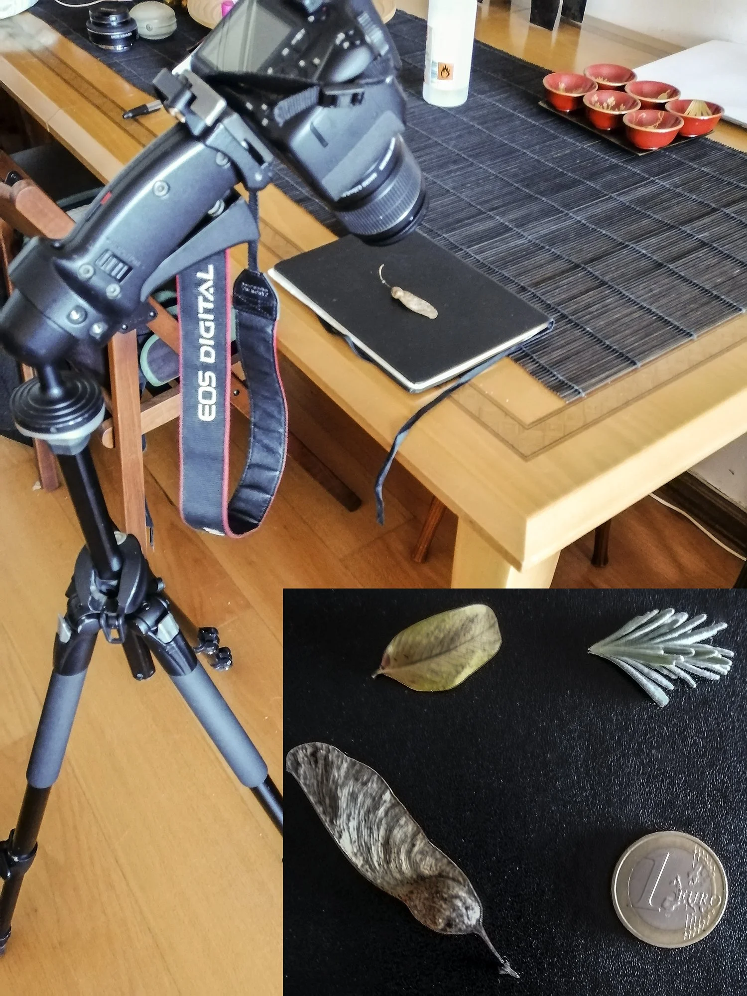 2 - Macro Setting.jpg