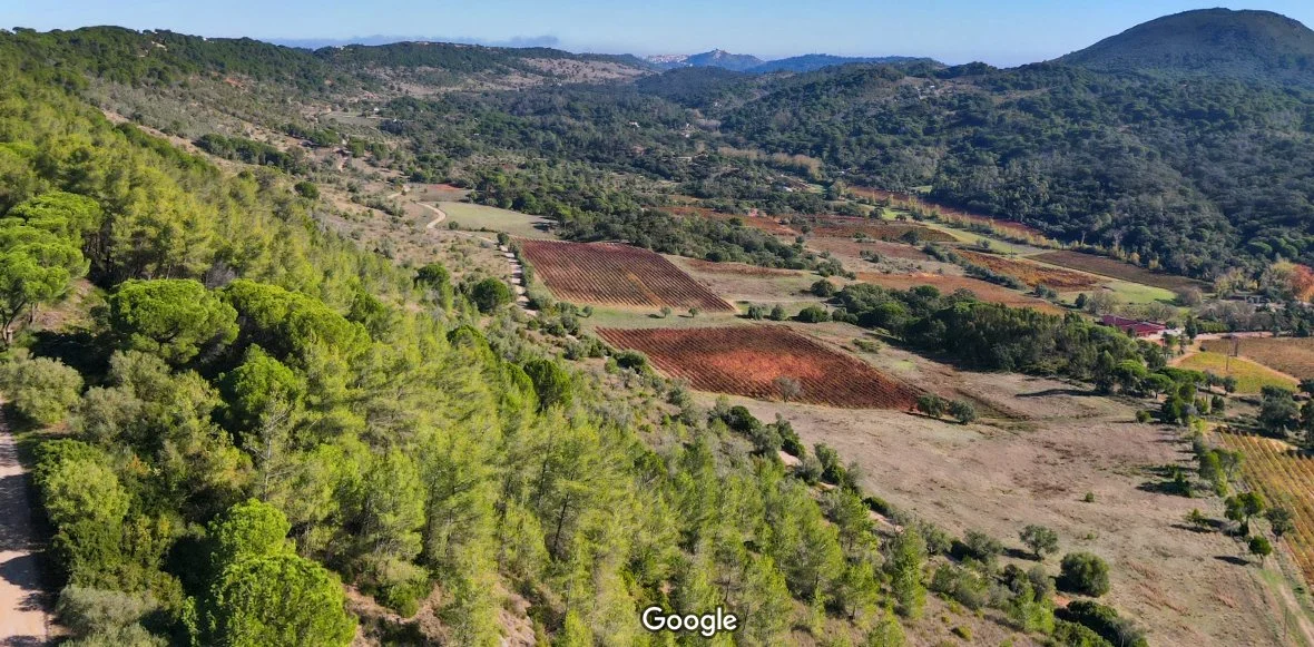 1 dia na Natureza, de Azeitão à Arrábida (2 vagas de 8)