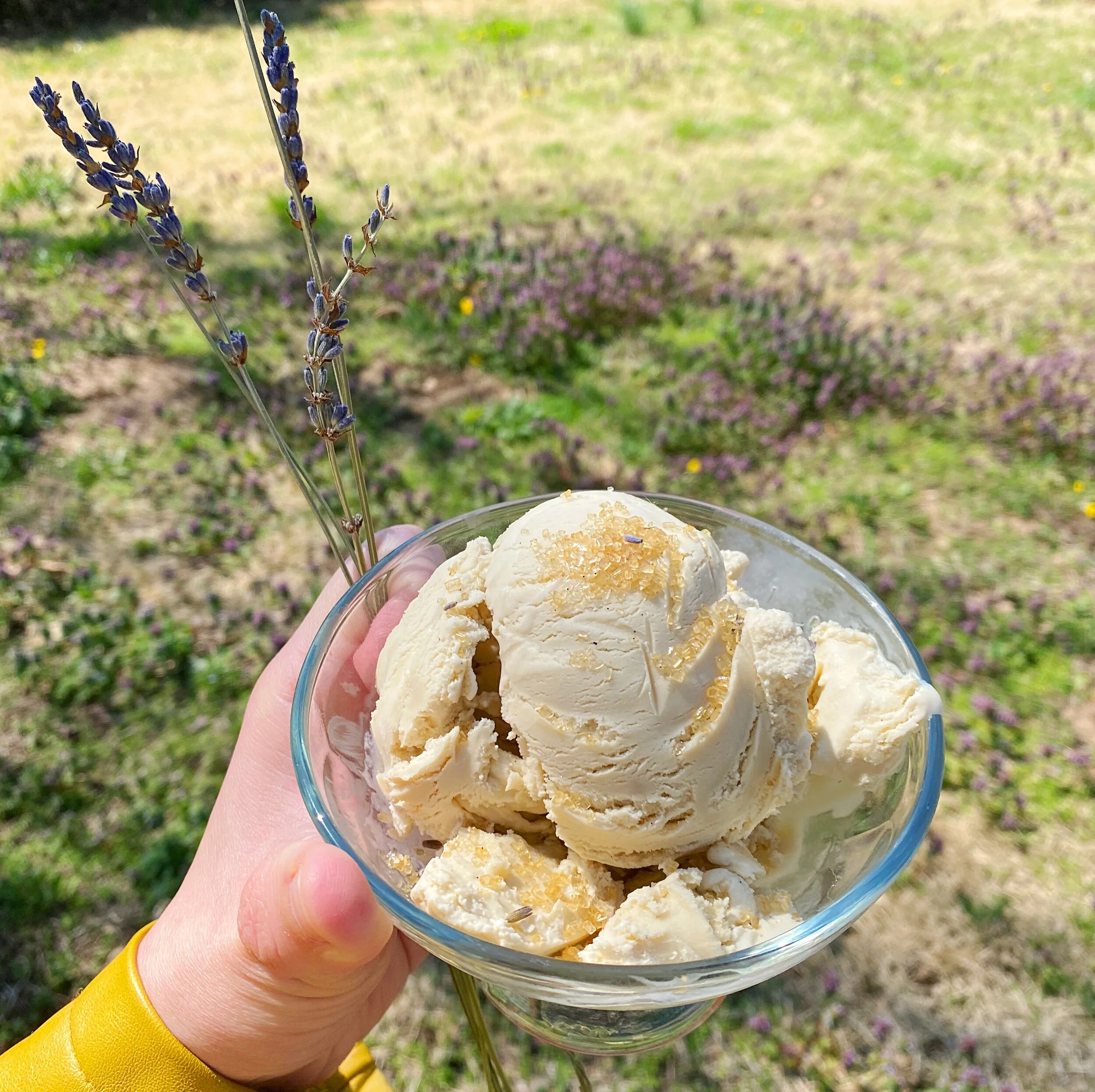 Stay Home: Earl Grey Lavender