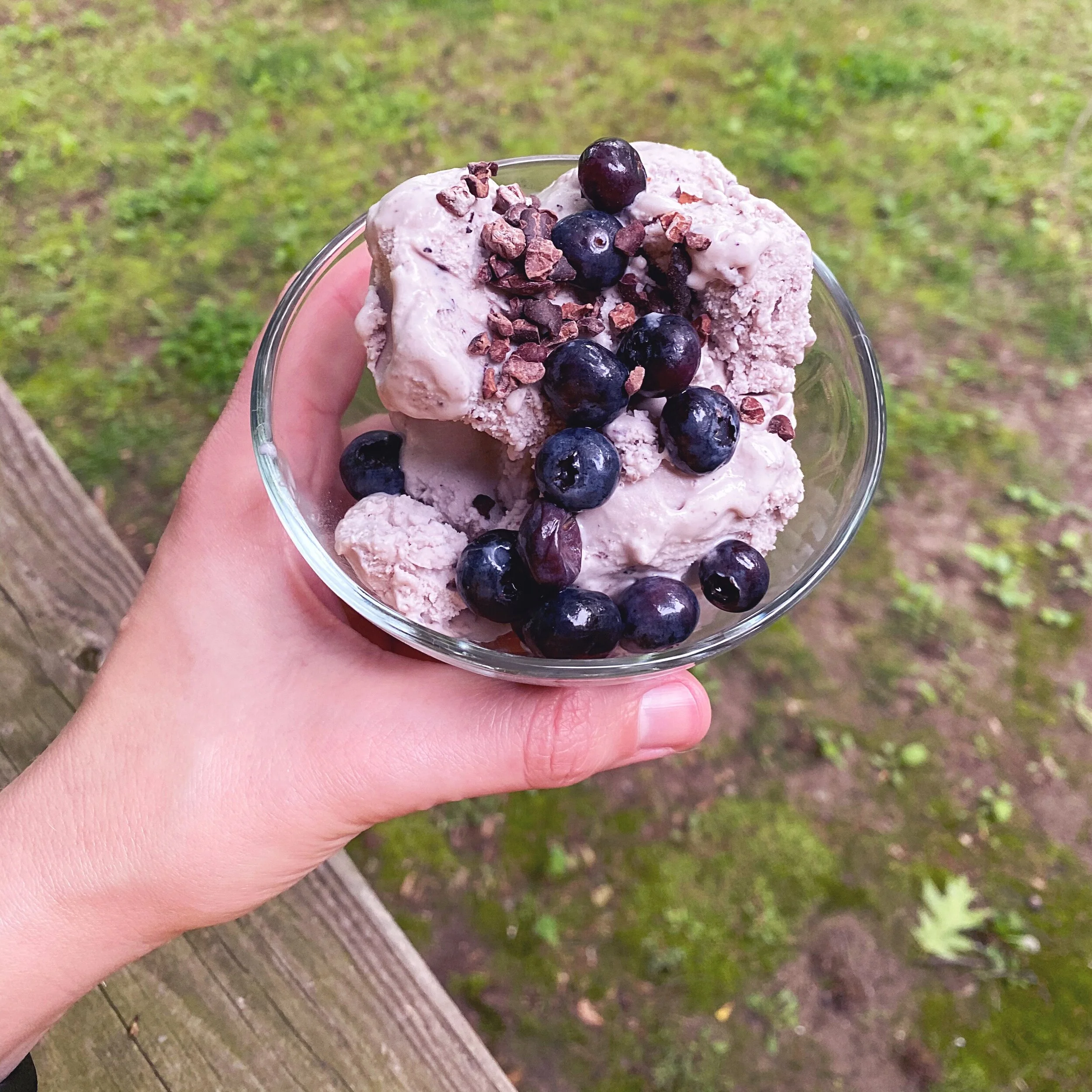 Stay Home: Blueberry Goat Cheese